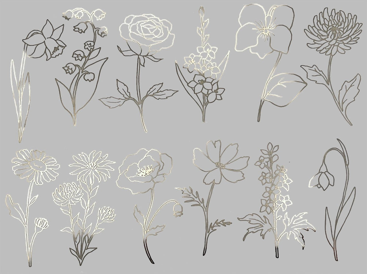 Garden Flowers