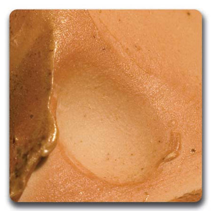 B-Mix Woodfired - Cone 10 (WC899)