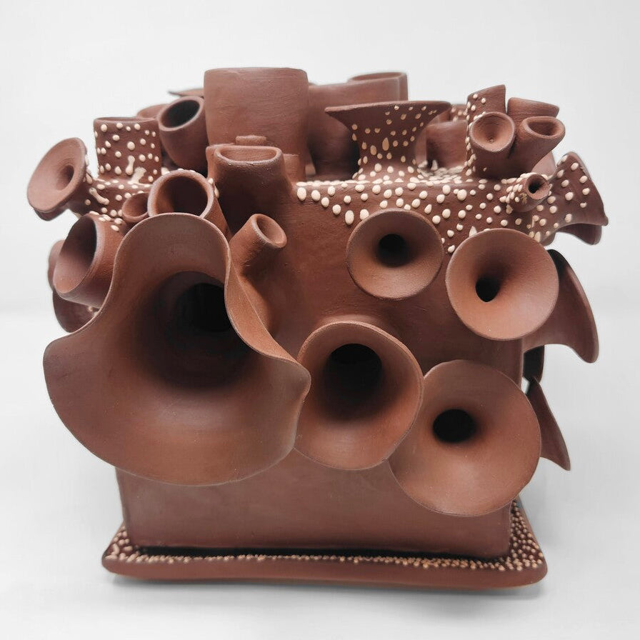 Brackers Good Earth Clays