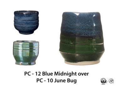 PC-10 June Bug