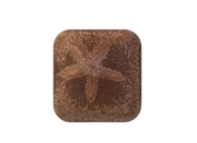 MS-257 CHOCOLATE GLAZE
