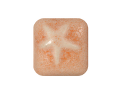 MS-265 TANGERINE ICE GLAZE