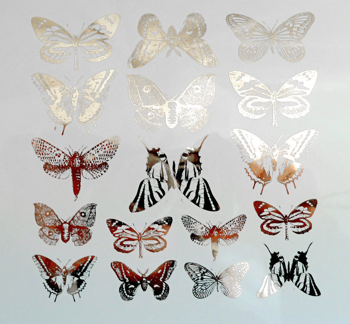 Butterflies