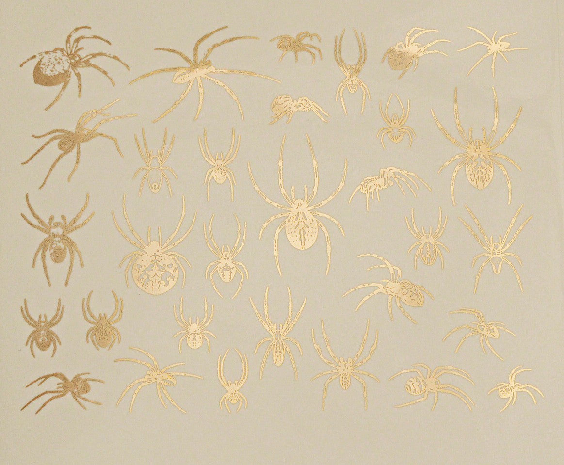 Spiders