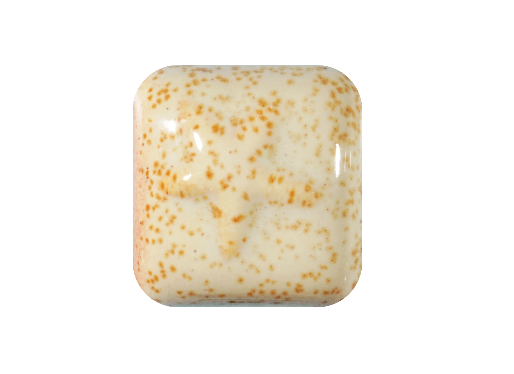 RG-1 MUSHROOM  Moroccan Fusion Glaze