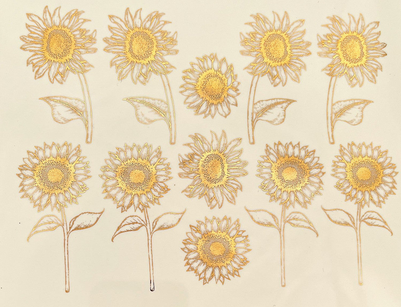 Sunflowers