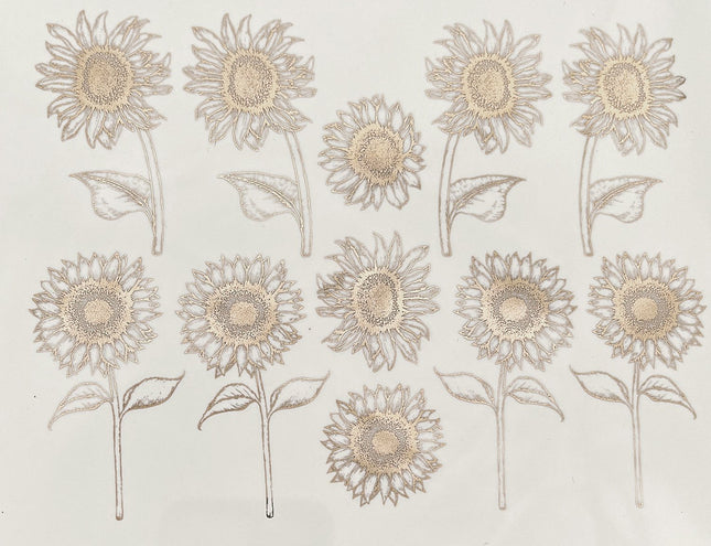 Sunflowers