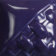 Purple Gloss Pint 505