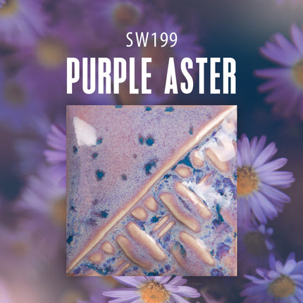 Purple Aster