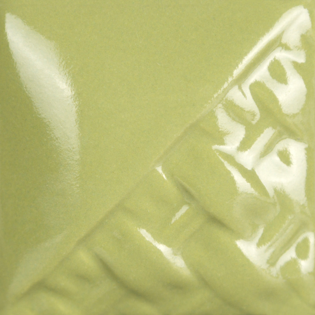 Sage Gloss Pint 514
