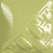 Sage Gloss Pint 514