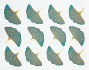 Gingko Leaf Decal