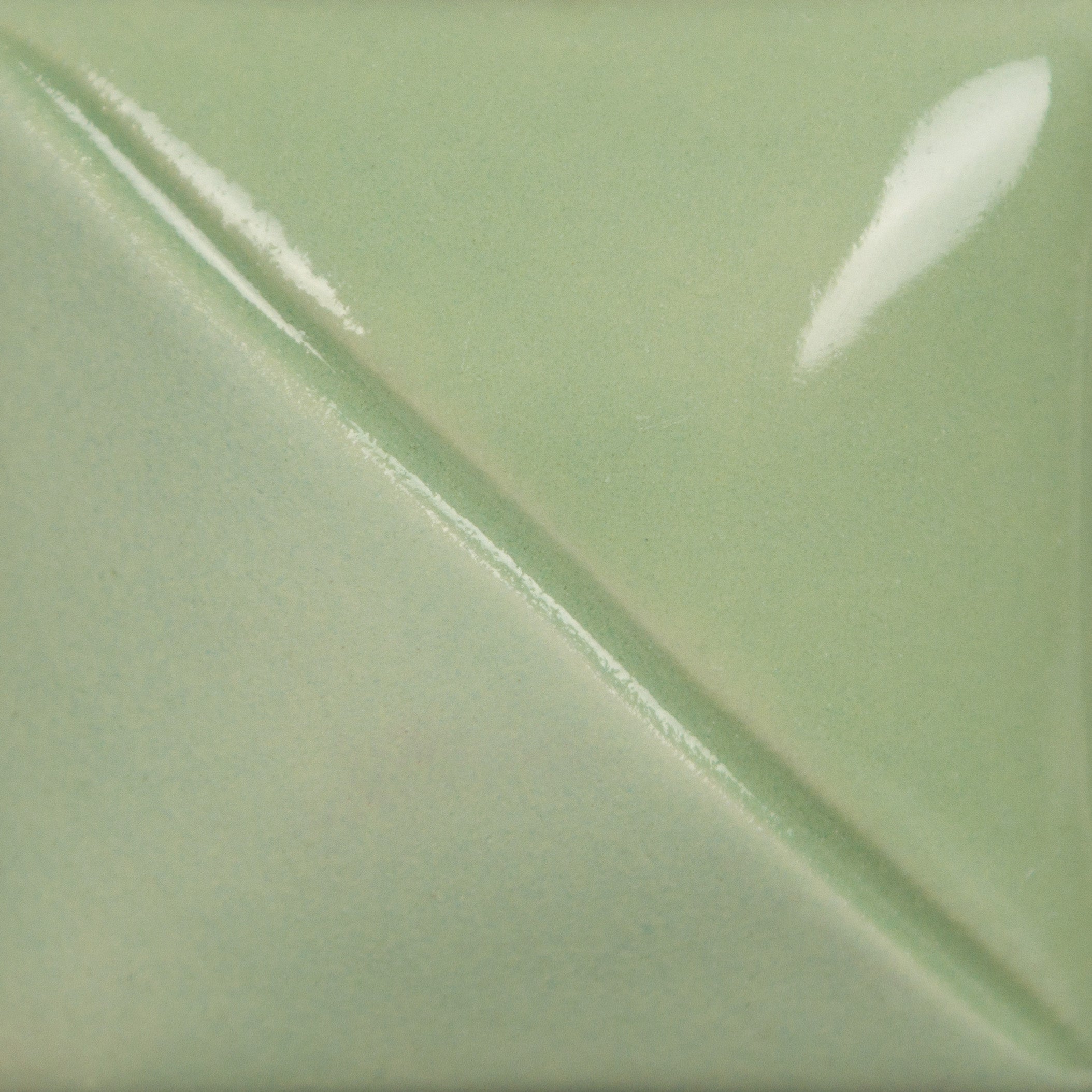 Eucalyptus Underglaze