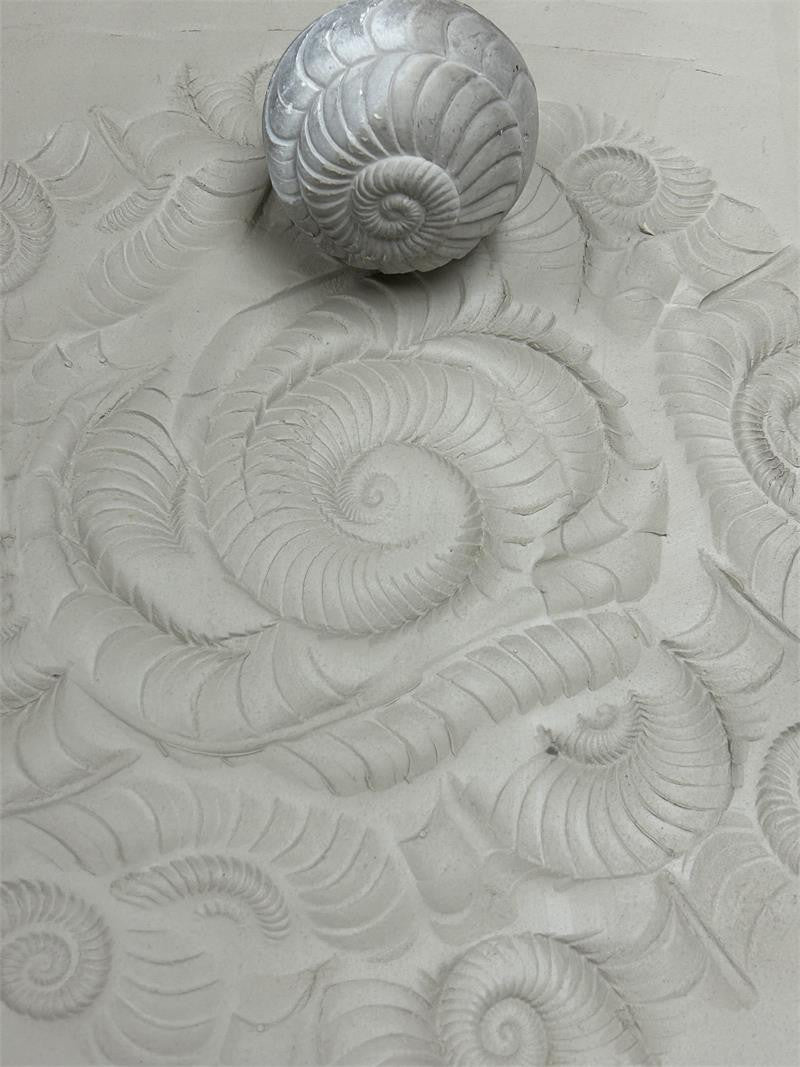 TS-29 Ammonite Texture Sphere